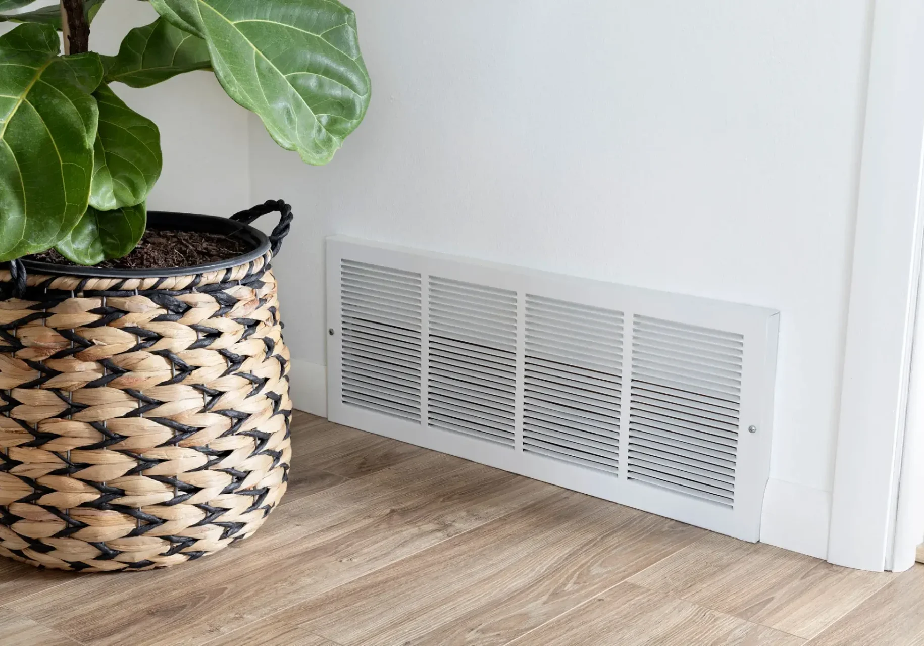 Plant beside wall vent on wooden floor.